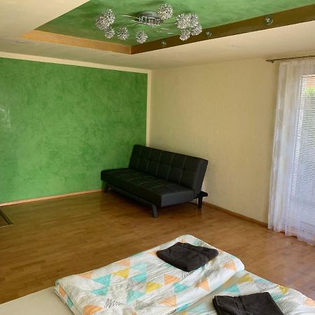 Nexi S Appartement An Der Enns 9 Radstadt Esterno foto